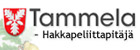 Tammela (Tammelan kunta)
